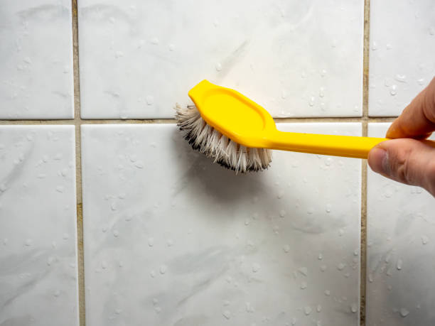 Best Office Mold Removal Services  in Biloxi, MS