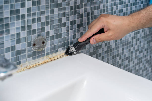 Best Mold Testing  in Biloxi, MS